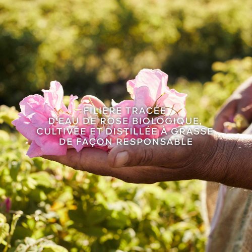 GUERLAIN-Aqua Allegoria Harvest - Rosa Rossa - Eau de Toilette GUERLAIN-Aqua Allegoria Harvest - Rosa Rossa - Eau de Toilette